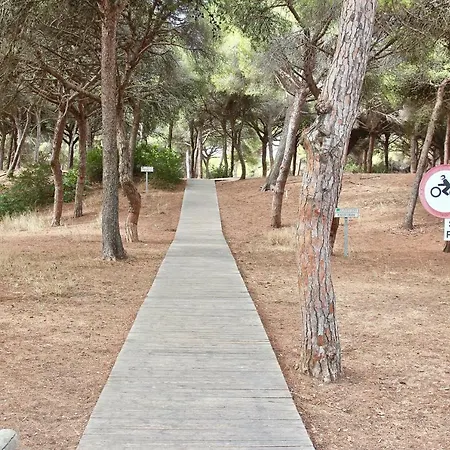 Playa Y Bosque